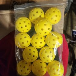 12 Pickleballs And Carrybags