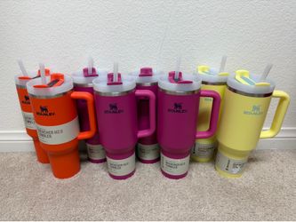 Stanley Quencher H2.0 Tumblers