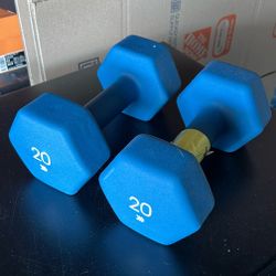 20lbs Dumbbells 