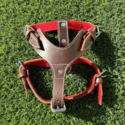 Leather Dog Harnesses and Collars 