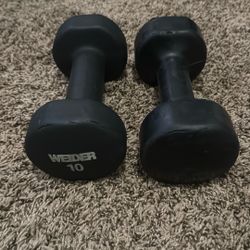 Pair Of 10 Pound Dumbbells 