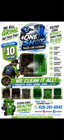 Trash Bin cleaning