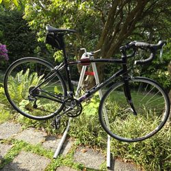 54 Cm. Specialized Dolce. WSD Road Bike