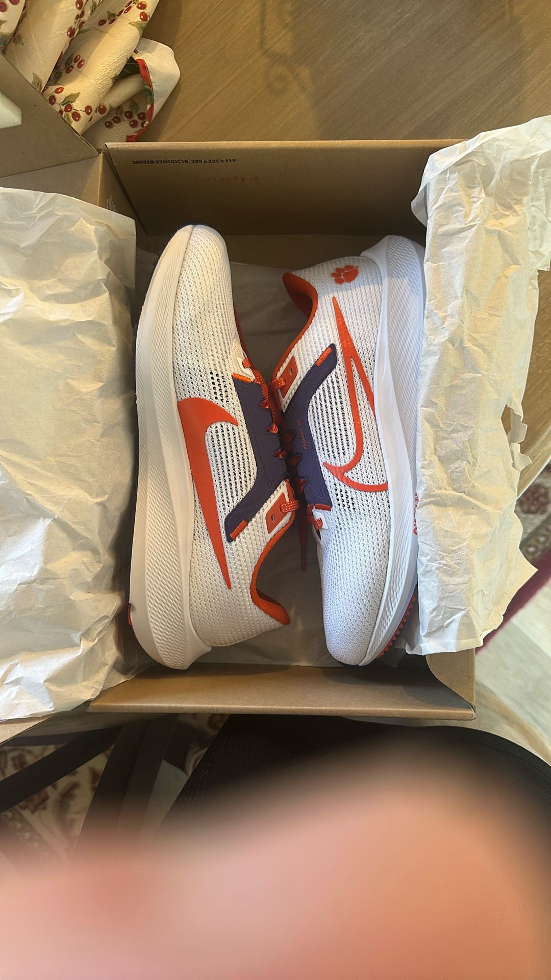 Nike Zoom Pegasus 40 Clemson 