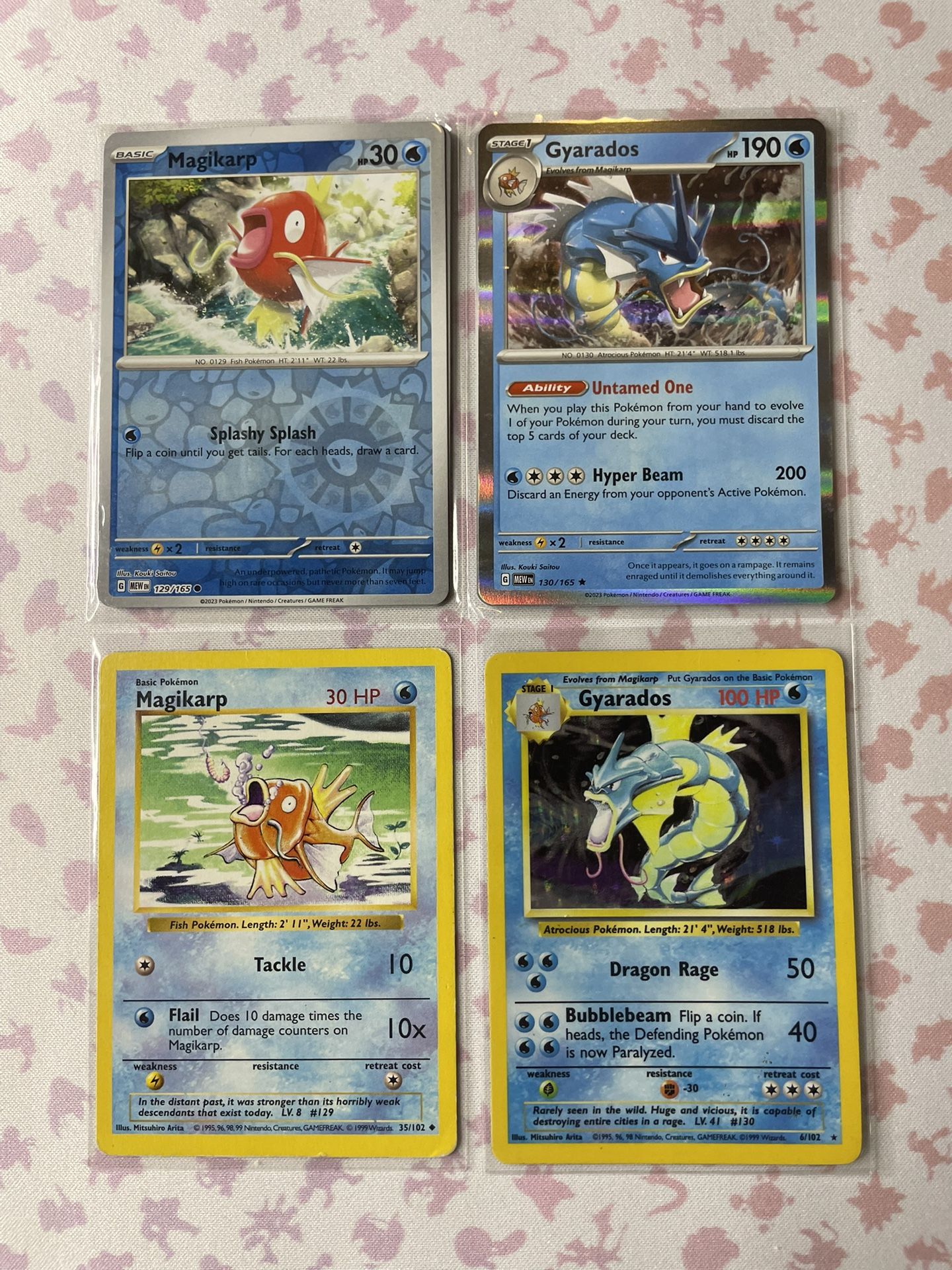 Magikarp,Gyarados