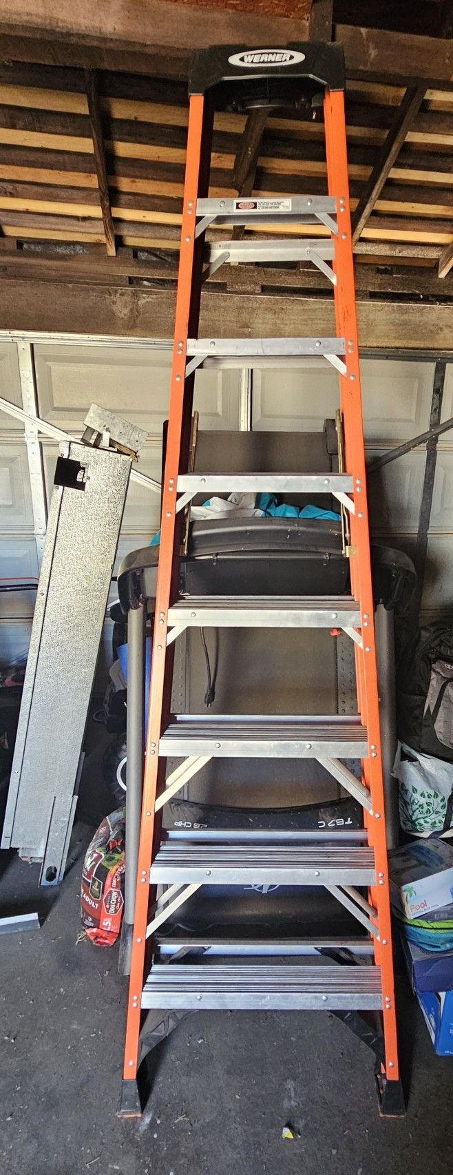 Werner Ladder