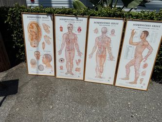 Set of 4 Framed Acupuncture Charts