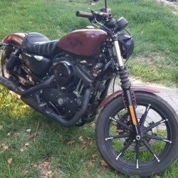2017 Harley Davidson SPORTSTER 883