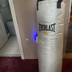 Everlast Punching Bag