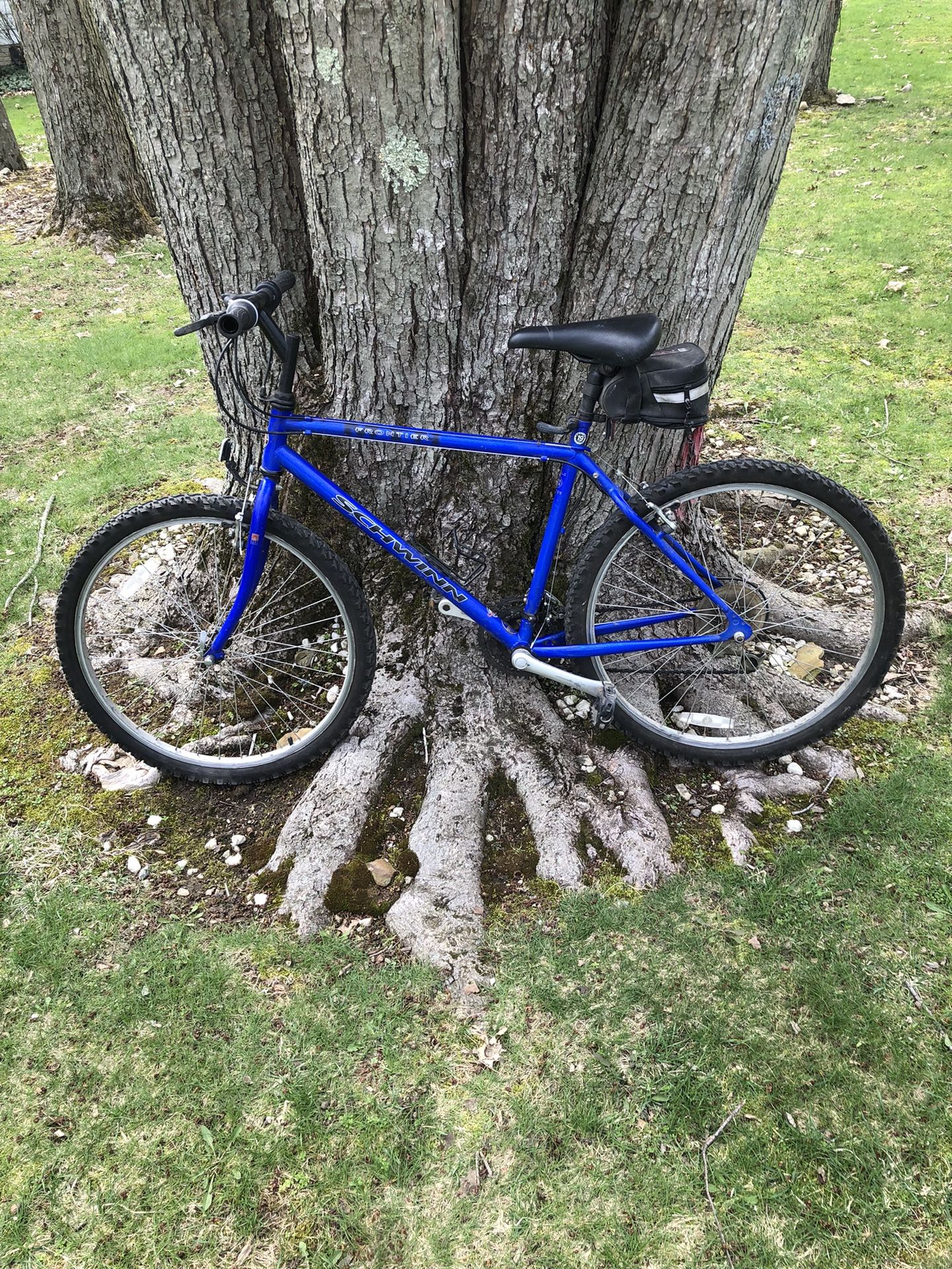 26” Schwinn Mountain Bike (large Frame)