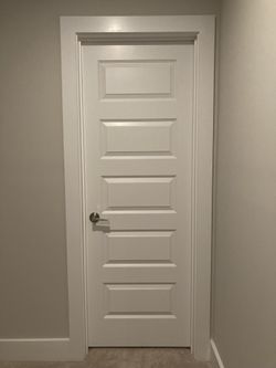 28X80 New Door