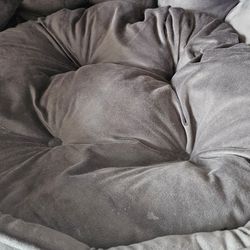 Brand New Dog Bed