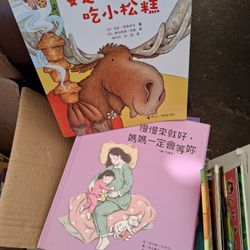 Children's Chinese & Korean Book Lot