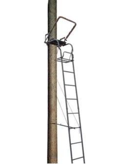 Single Ladder Tree Stand w/ Ladder Sticks