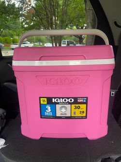 Igloo cooler pink