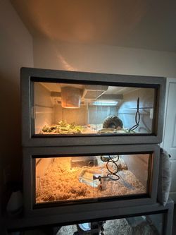 Reptile enclosure