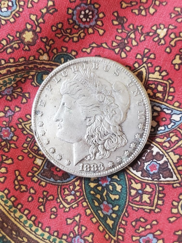 Morgan Silver Dollar