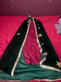 Virgin Mary Costume 12/16