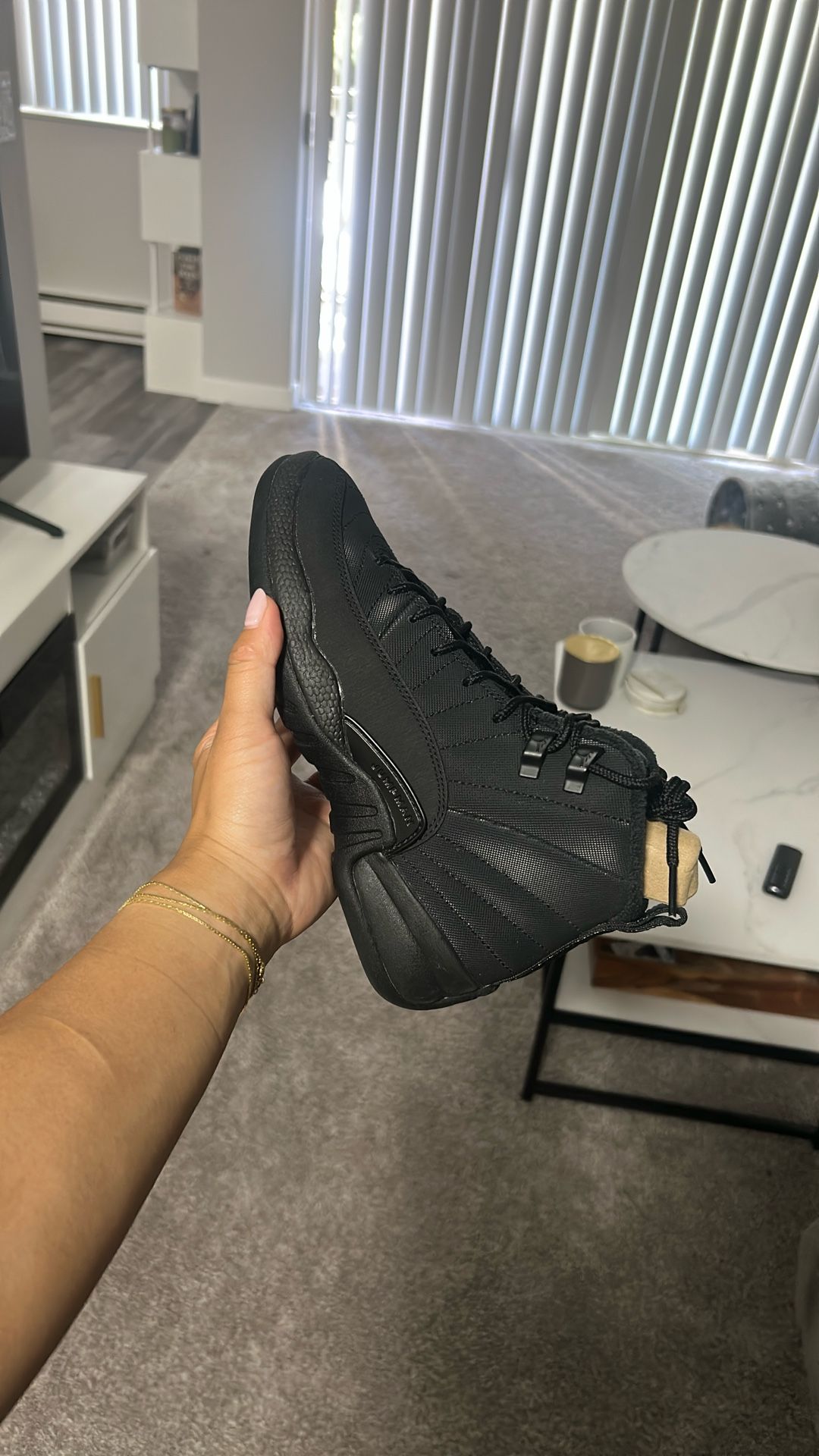 Winter Jordan 12