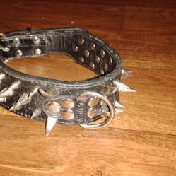 Dog Collar 