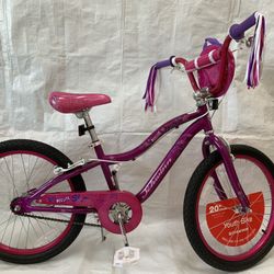 20” Schwinn Girls bike (purple)