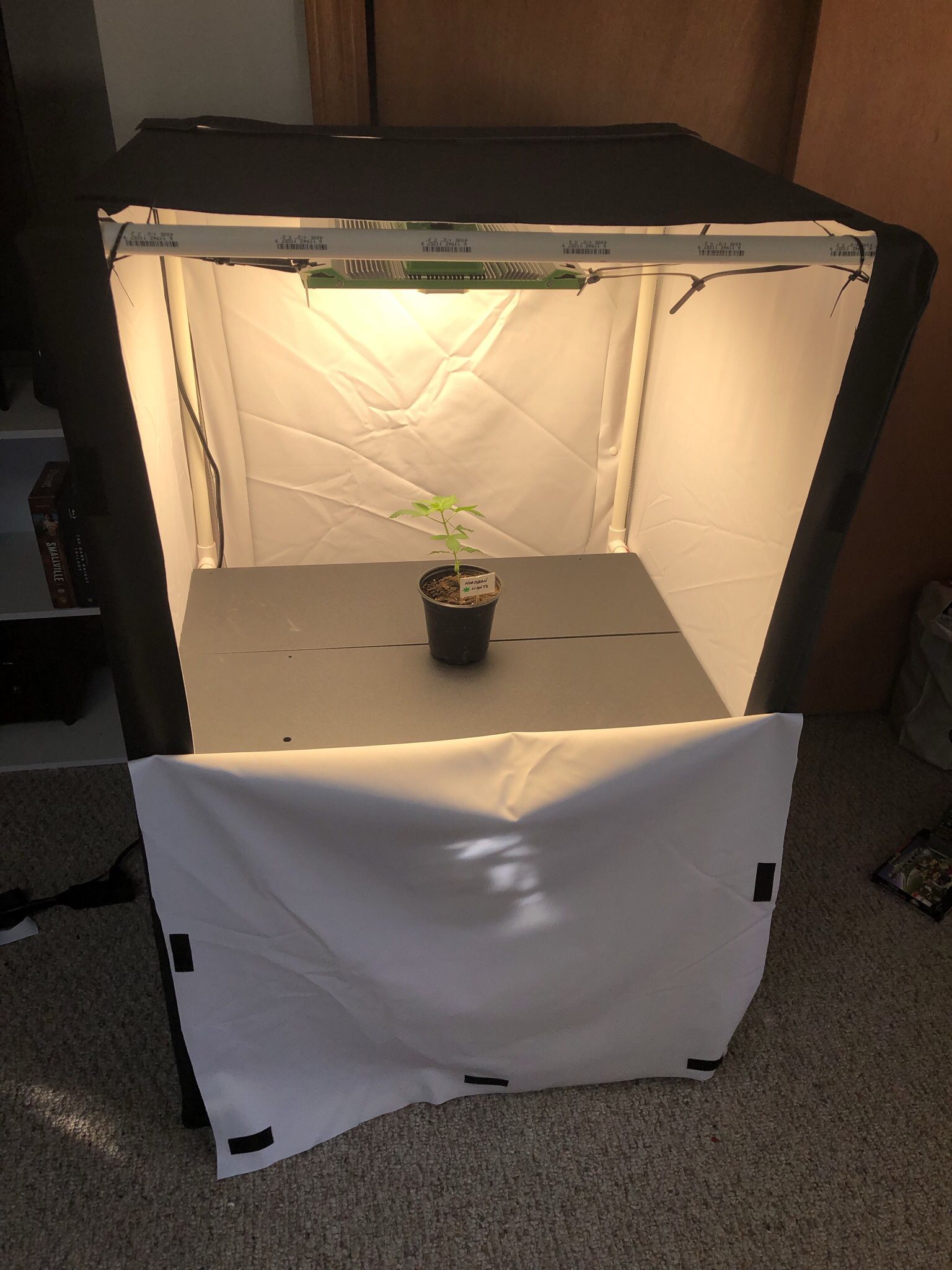 Homemade Grow Tent