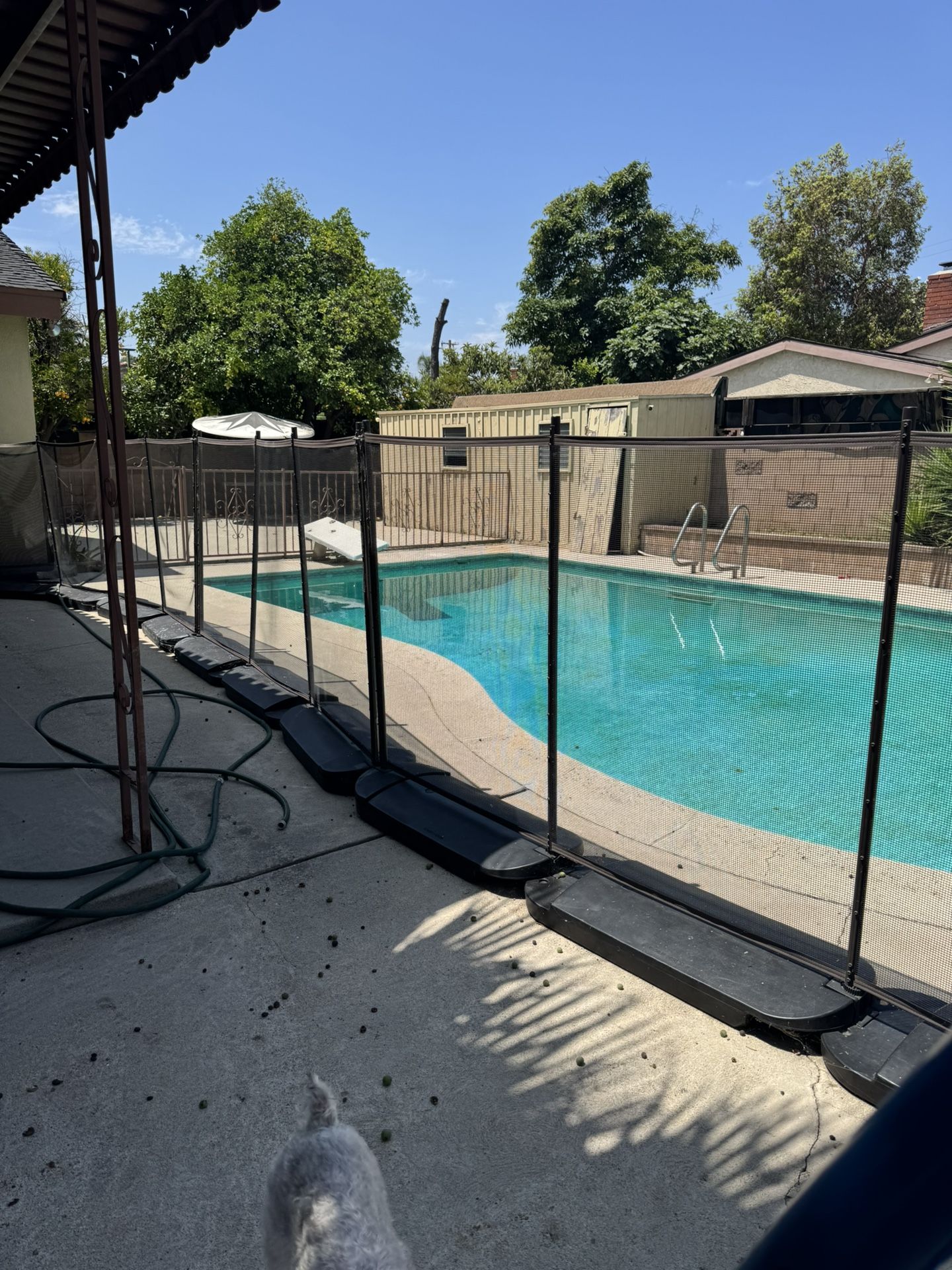 Pool Fence