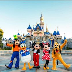 (5) Disneyland 1 Day Park Hopper