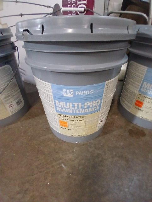 Interior White Paint 5 Gallon