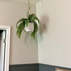 Hanging Faux Fern Planter 