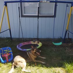 FREE Swing Set And Baby Swing