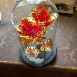 Red/gold Rose