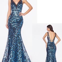 New With Tags Prom Dress & Formal Dress $175