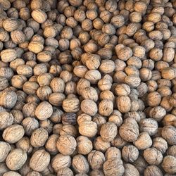 Fresh 2025 Season Walnuts
