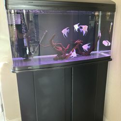 65 gallon fish tank  with stand 