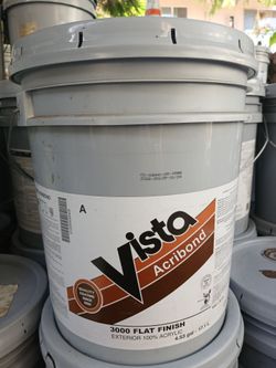 Exterior flat paint