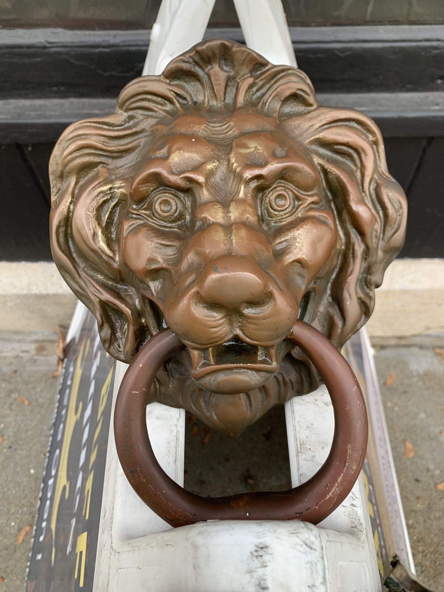 Large Brass Lion Doorknocker