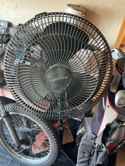 Fan