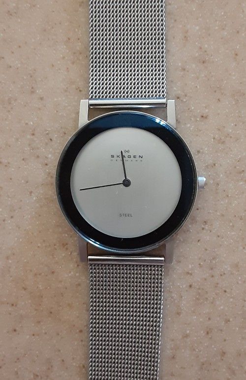 Skagen Watch Men's 39LSS. Description Below.
