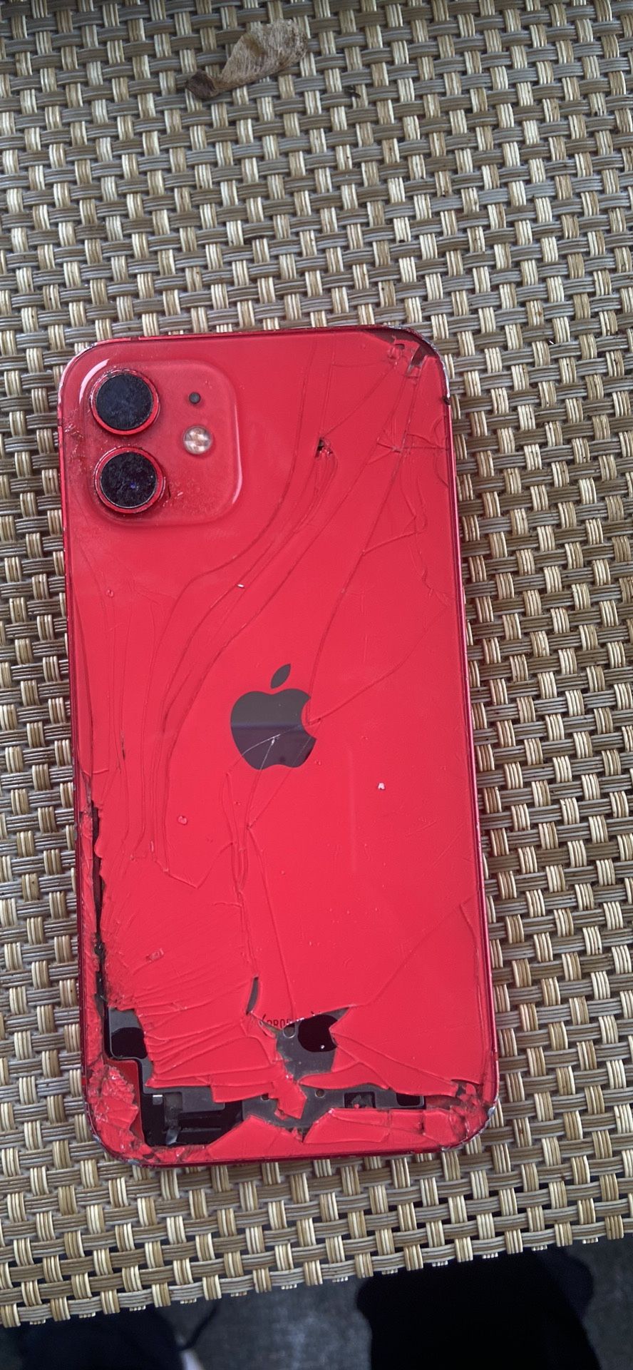 Red iPhone 12