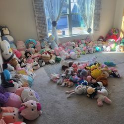 Squishmallow/ Stuff Animall 