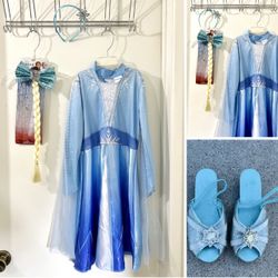 Frozen Dress and accessories 