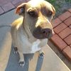 Northwest Phx Area