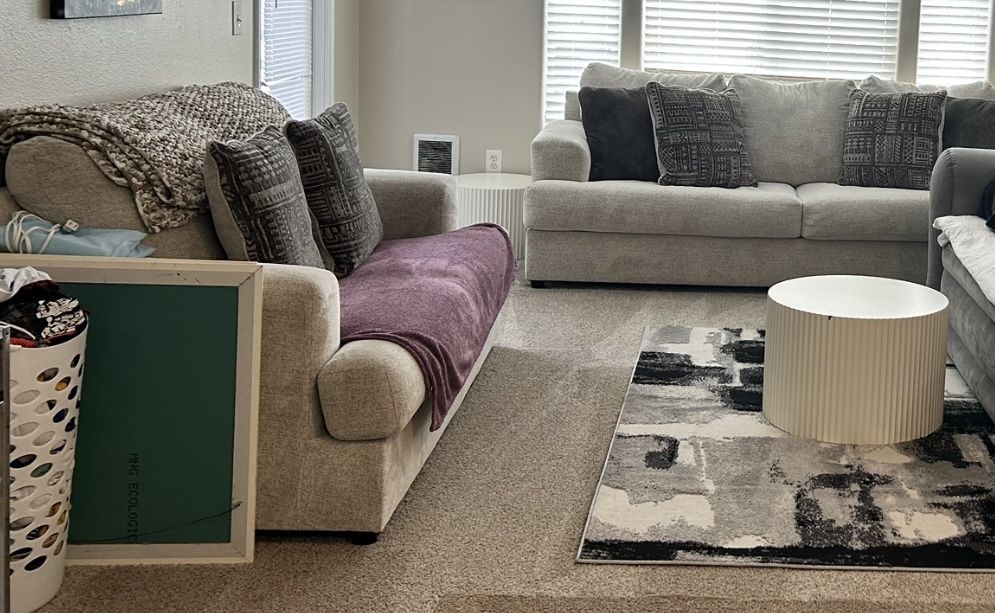 Grey Couches
