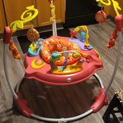 Fisher- Price "Pretty Petals" Jumperoo
