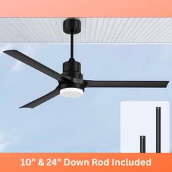 Indoor/Outdoor, 60 Inch Ceiling Fan with Light and Remote