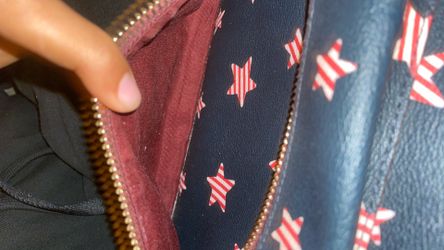 4th of July coach bag