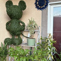 Disney Mickey Mouse topiary garden