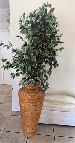 Large Faux Variegated Ficus Tree in Tall Woven Rattan Floor Vase