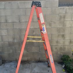 6' Ladder & Painting Ladder